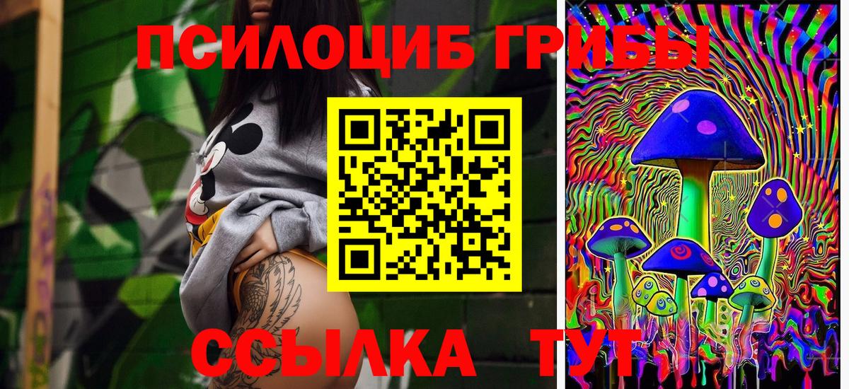 Чистополь  Псилоцибиновые грибы мухоморы  наркошоп  Вход с VPN 
