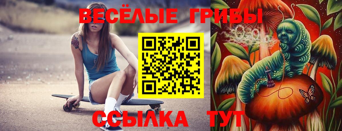 Галлюциногенные грибы прущие грибы Чистополь